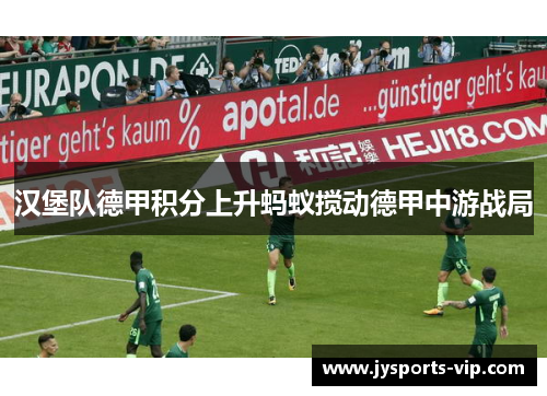 汉堡队德甲积分上升蚂蚁搅动德甲中游战局